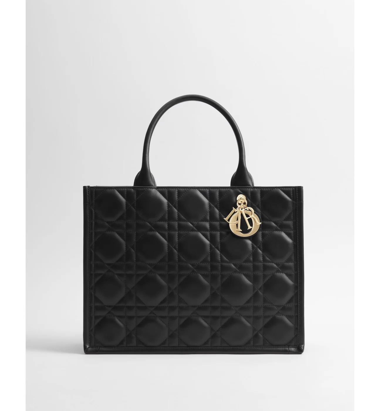DIOR Medium Dior Book Tote